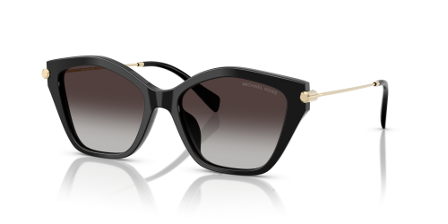 2246U SOLE CATSKILLS