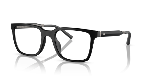 5553U VISTA MR. FEDERER